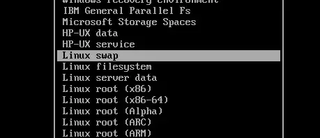 Linux Swap